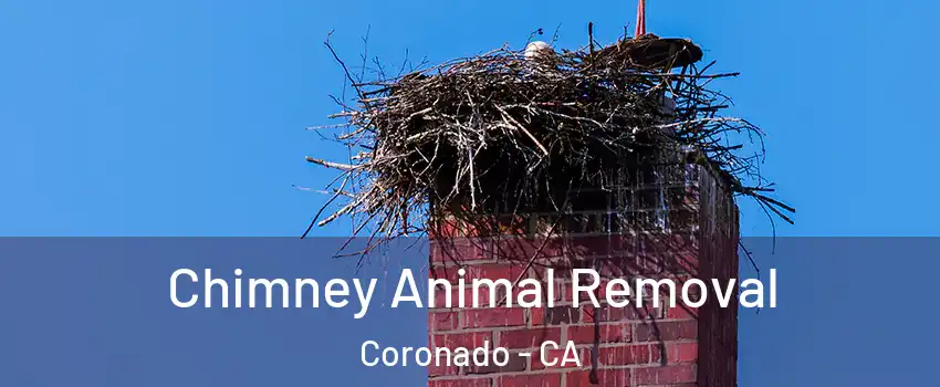  Chimney Animal Removal Coronado - CA