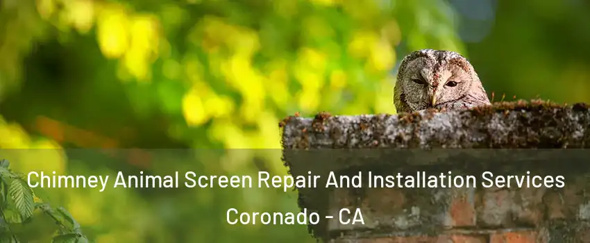  Chimney Animal Screen Repair And Installation Services Coronado - CA