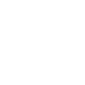 Professional Chimney Flue Installation in Coronado, California