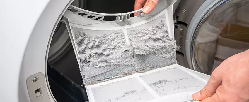 Best Dryer Lint Removal Company in Coronado, California