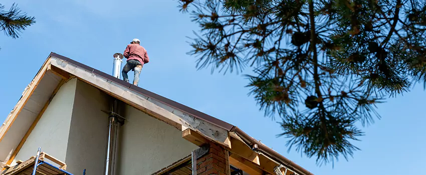 Birds Removal Contractors from Chimney in Coronado, CA